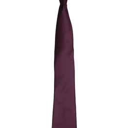 Colours' satin clip tie