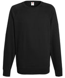 Lightweight raglan sweatshirt