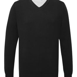 Men's cotton blend v-neck sweater