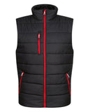 Regatta Mens Navigate Thermal Bodywarmer - Black/Classic Red - M