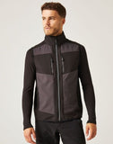 Regatta E-Volve 2L SoftShell BodyWarmer - Ash/Black - XL