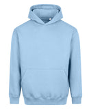 Vision heavyweight hoodie