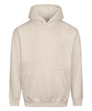 Vision heavyweight hoodie
